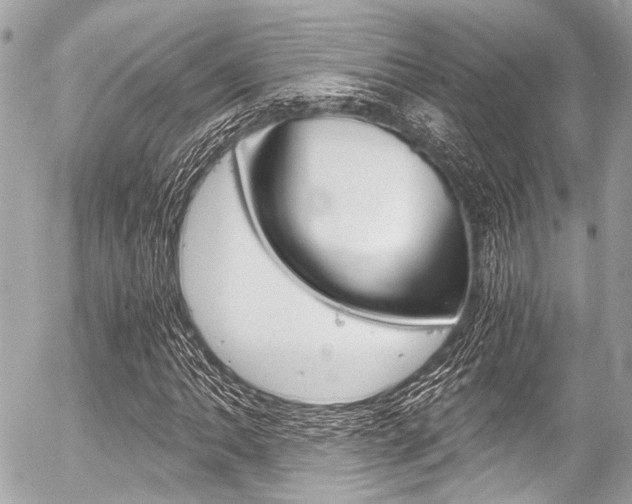 X0000056341062200508260845