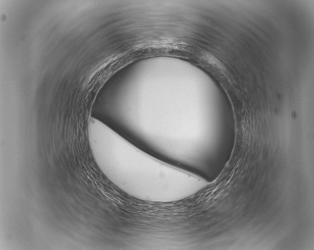 X0000056341064200508260845