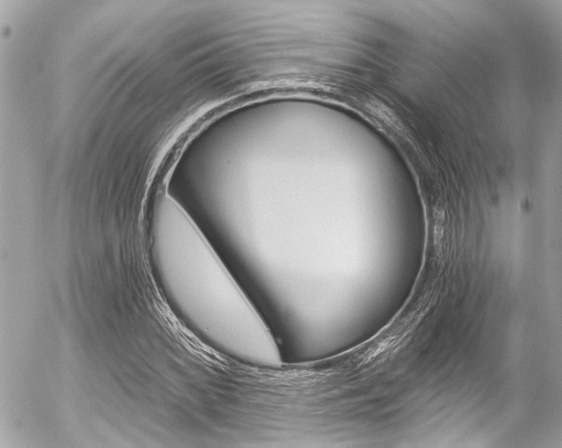 X0000056341068200508260845