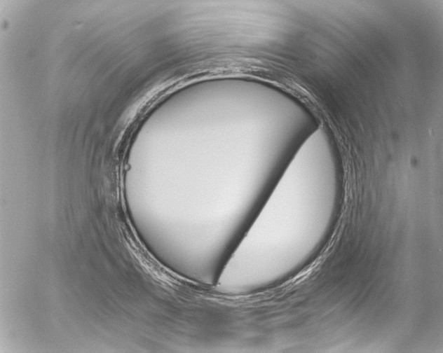 X0000056341075200508260845
