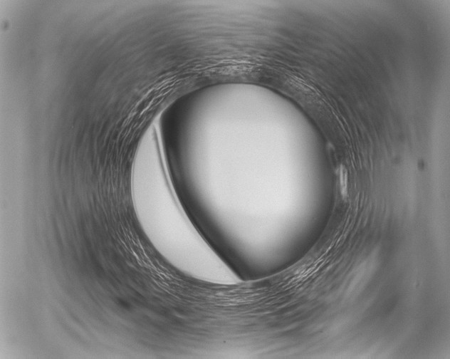 X0000056341107200508260844