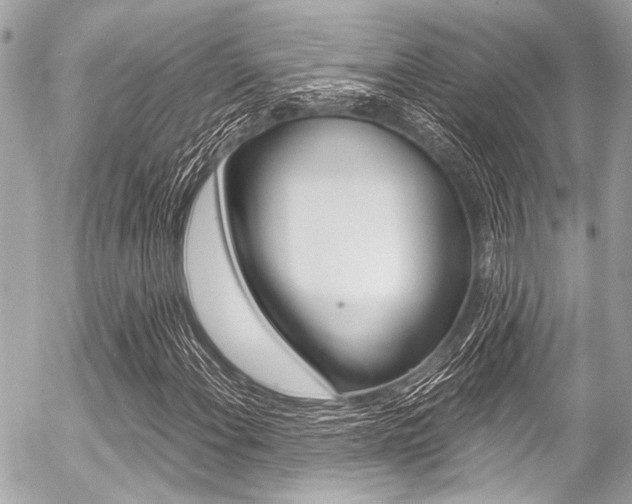 X0000056341108200508260844