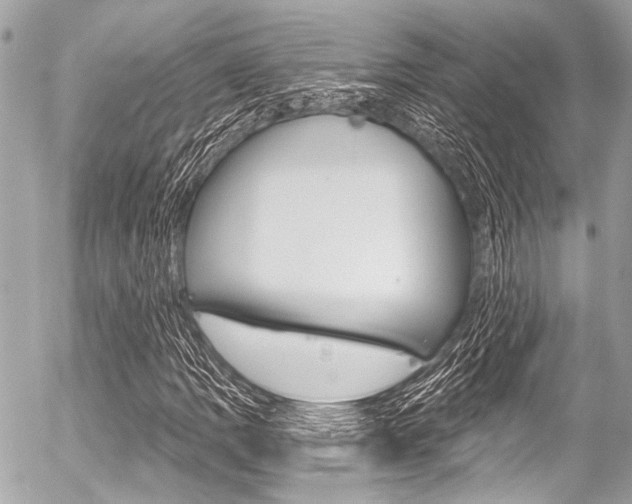 X0000056341109200508260844