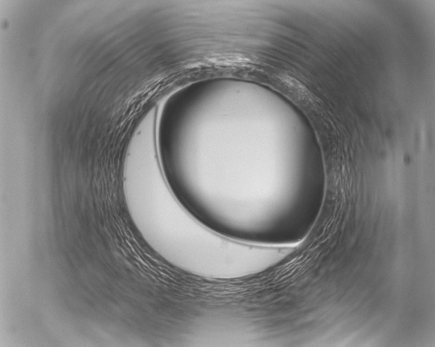 X0000056341110200508260844