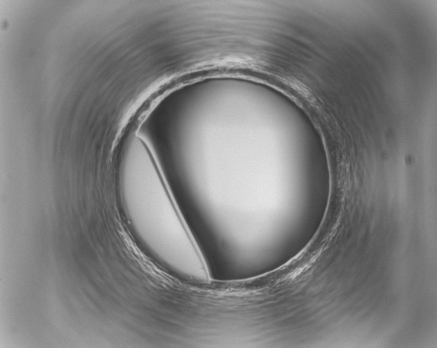 X0000056341118200508260844