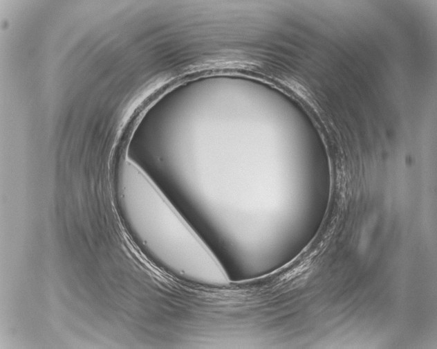X0000056341119200508260844