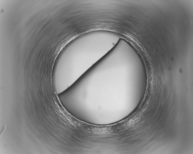 X0000056341121200508260844