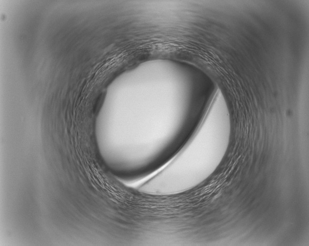 X0000056341153200508260844