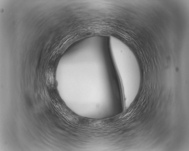 X0000056341155200508260844