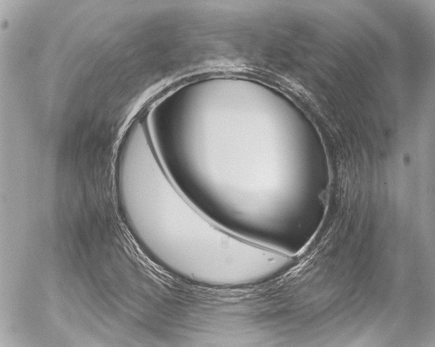 X0000056341168200508260843