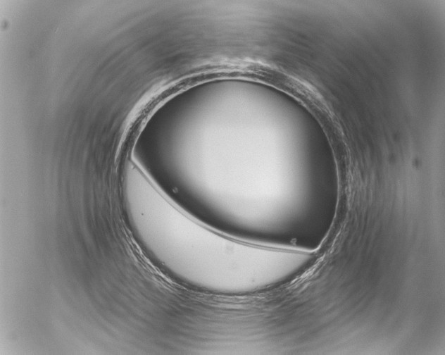 X0000056341172200508260843