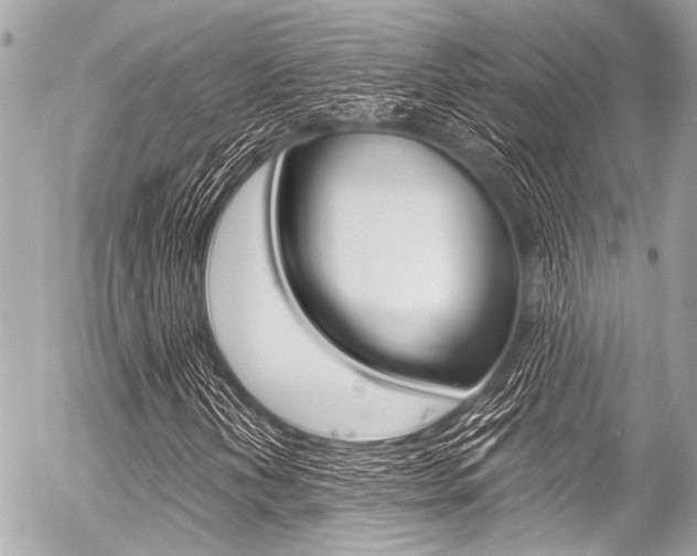 X0000056341202200508260842