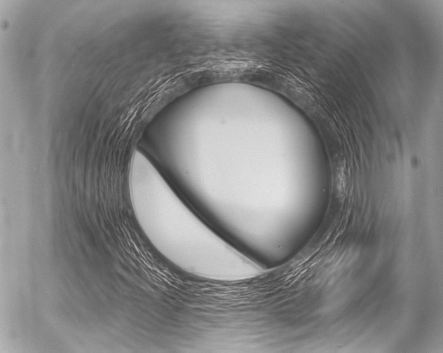 X0000056341204200508260842