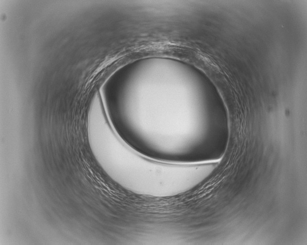 X0000056341206200508260842