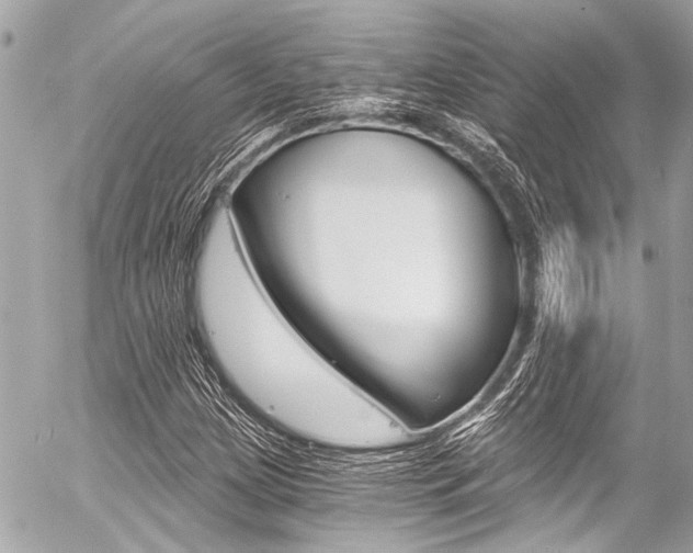 X0000056341209200508260842