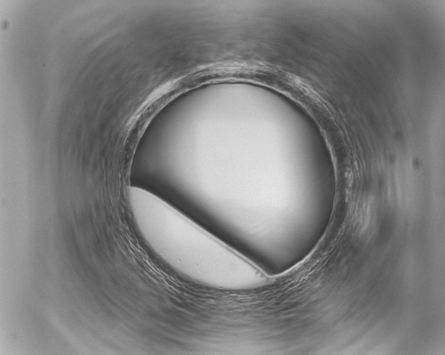 X0000056341213200508260842