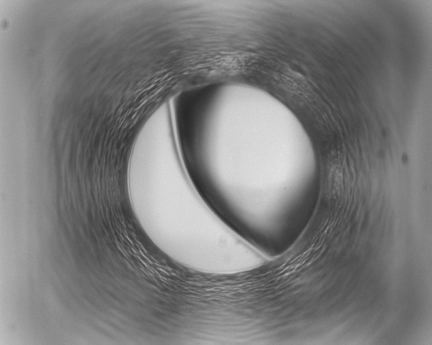 X0000056341250200508260842