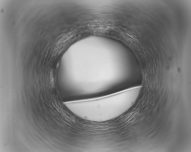 X0000056341252200508260842
