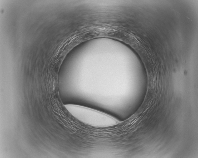 X0000056341253200508260842