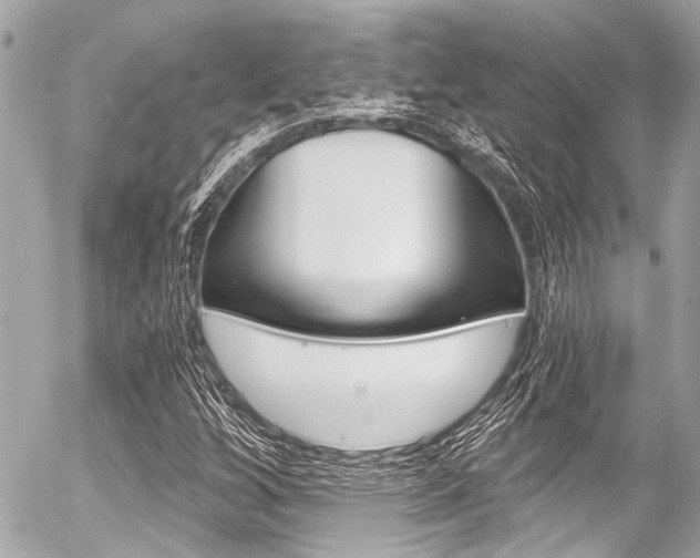 X0000056341256200508260842