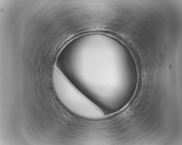 X0000056341265200508260842