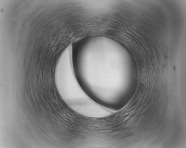 X0000056341298200508260841