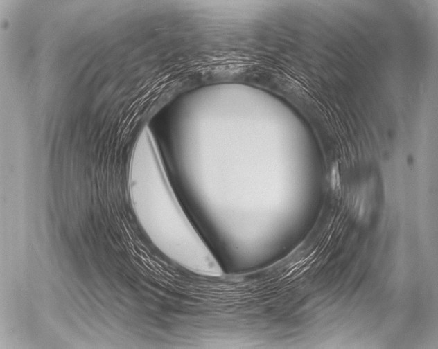 X0000056341299200508260841