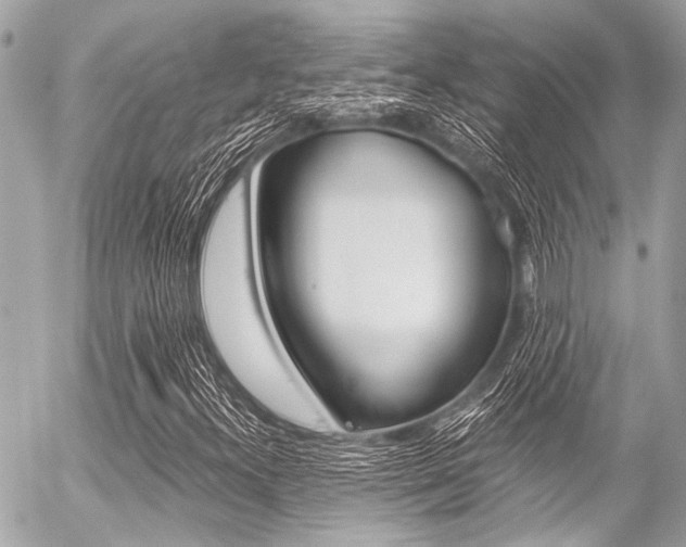 X0000056341300200508260841