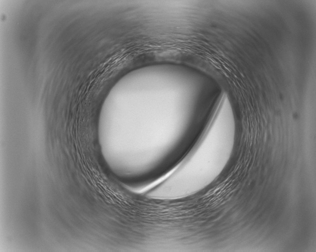 X0000056341345200508260840