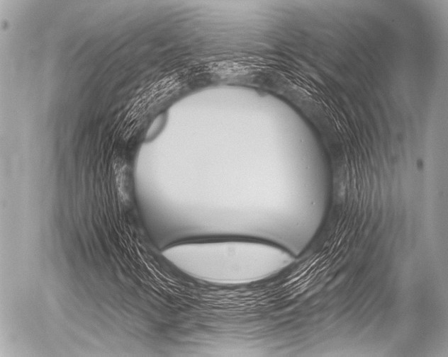X0000056341346200508260840