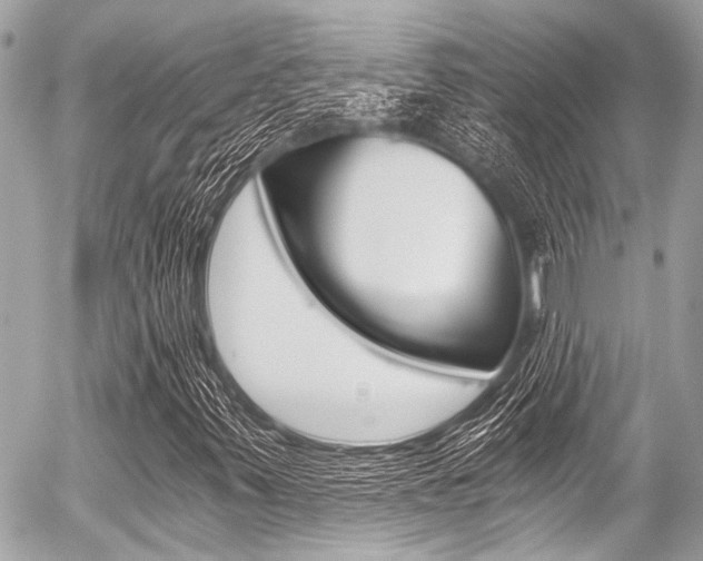 X0000056341347200508260840