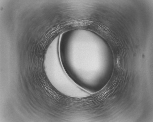 X0000056341348200508260840