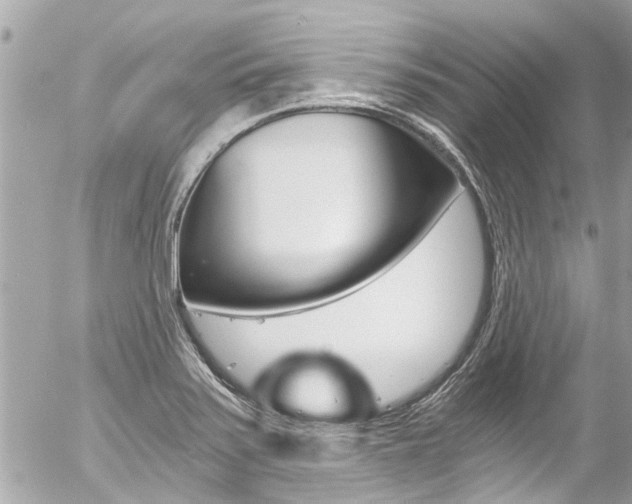 X0000056341371200508260840