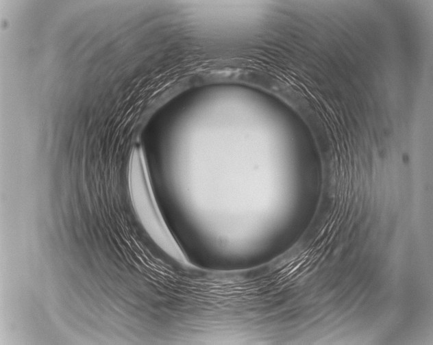 X0000056341394200508260839