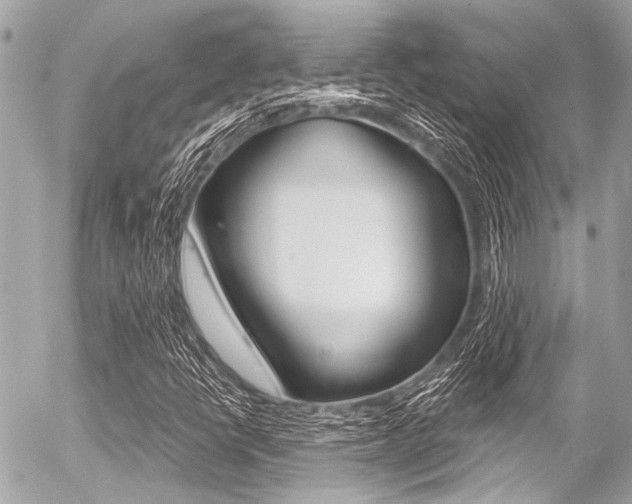 X0000056341398200508260839
