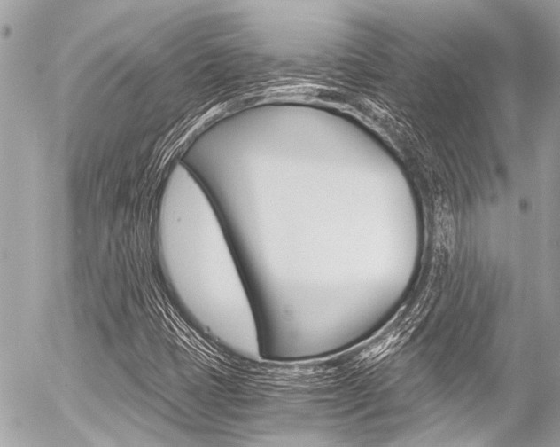 X0000056341401200508260839