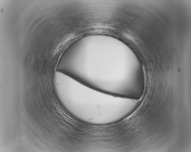 X0000056341403200508260839