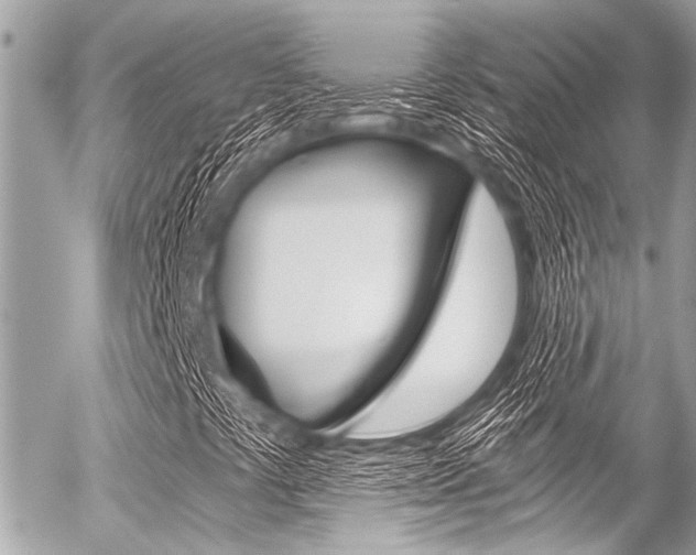 X0000056341441200508260839