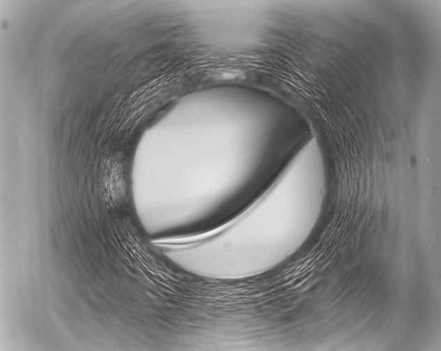 X0000056341442200508260839