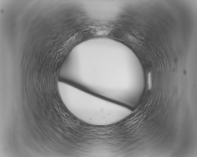 X0000056341443200508260839