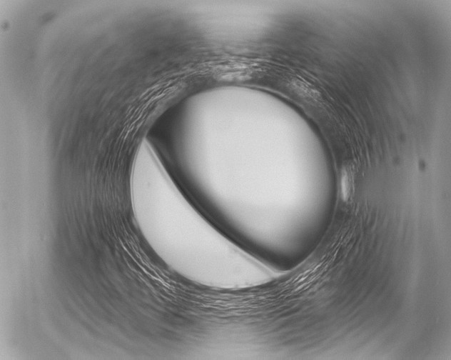 X0000056341444200508260839