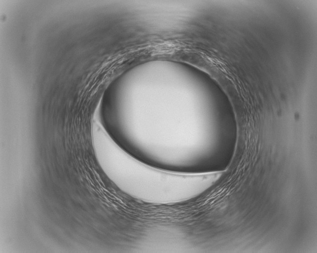 X0000056341445200508260839