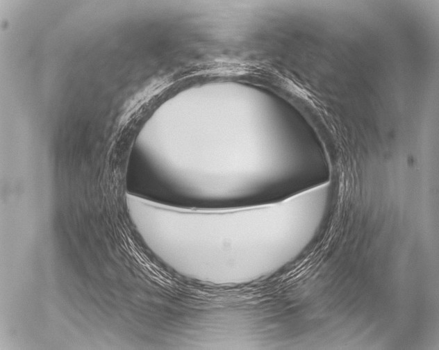 X0000056341448200508260839
