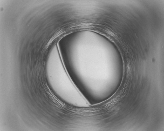 X0000056341450200508260839
