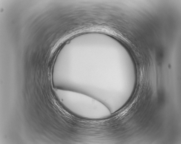 X0000056341498200508260838