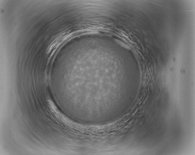 X0000056340002200508261258