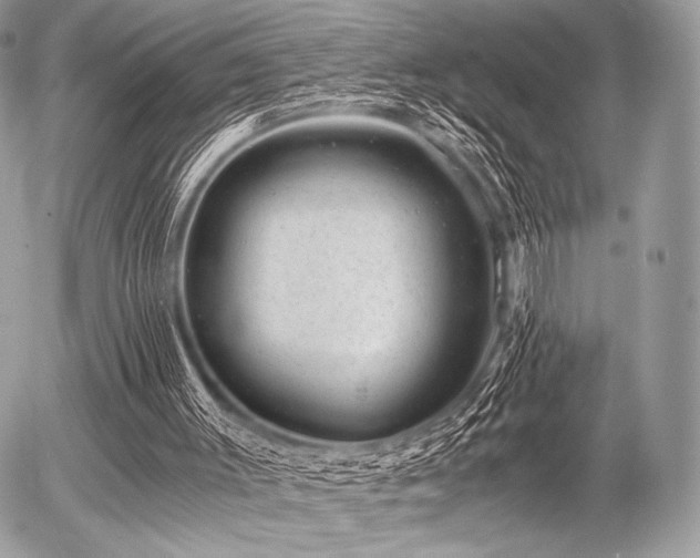 X0000056340003200508261258