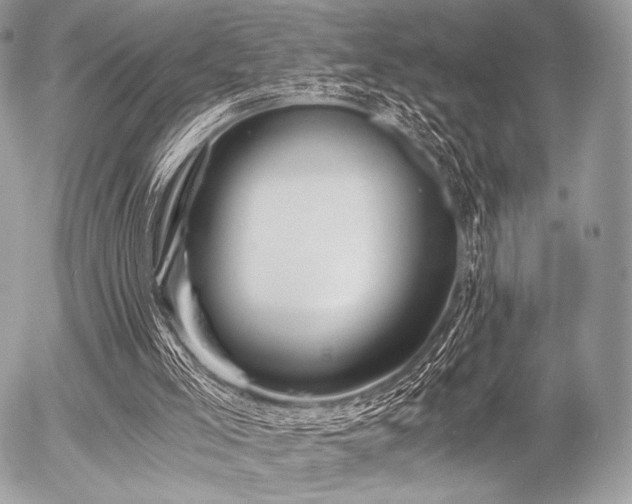 X0000056340005200508261258