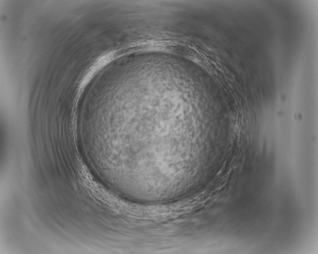 X0000056340006200508261258