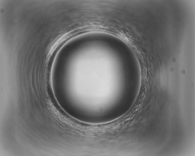 X0000056340007200508261258